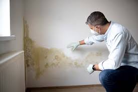 Forensic Mold Investigation in Old Jefferson, LA